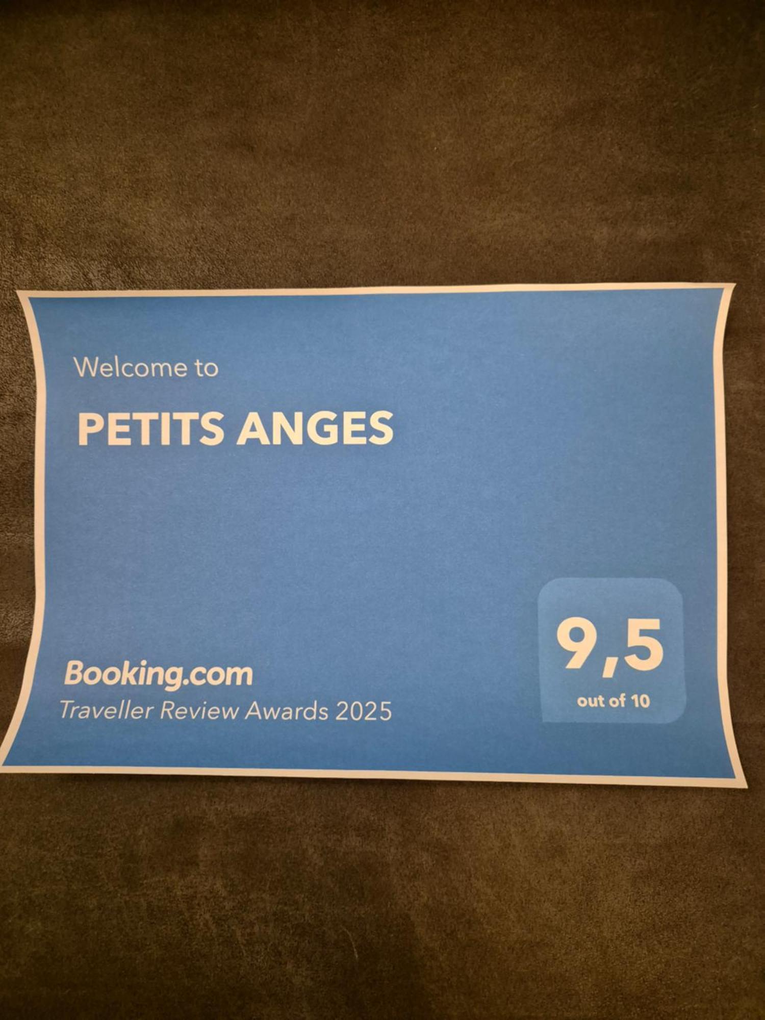 Petits Anges Apartment Sarlat-la-Caneda Exterior photo